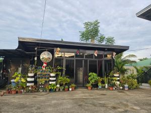 J Novotny Transient House