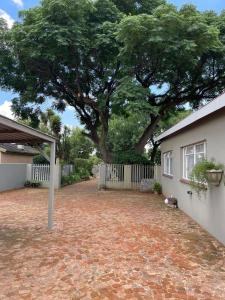 Shady Seringa Accommodation