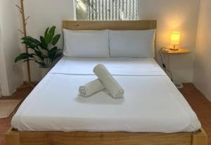 The Sharks Tail Dive Resort