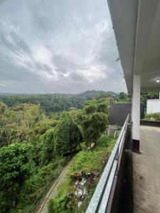 jungle senaru cottage