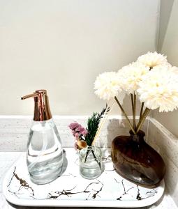 Hotel Residences at Acqua