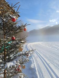 Egons Home - Urlauben in Top Lage