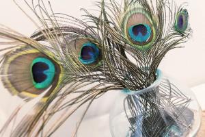 Villa Wiederkehr Einkehr