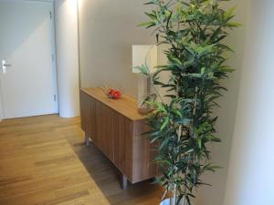 Rivalago by Fewotessin