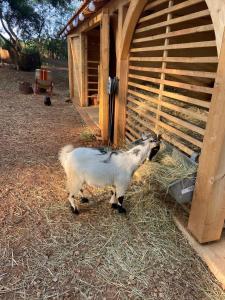 Maison en pierre rénovée avec jardin et piscine privative chauffée