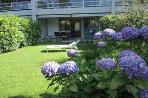 Ortensia by Fewotessin