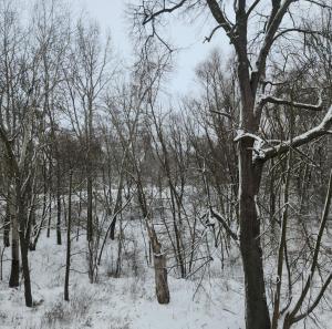 Green Apartament Chill Modlin Airport