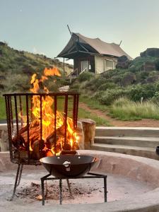 Wolwekuil Eco Glamping