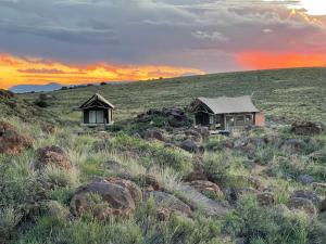 Wolwekuil Eco Glamping