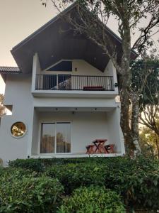 Vagabond Stays Beryl