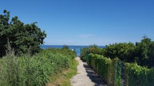 Dünengarten - 40-20