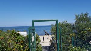 Dünengarten - 40-20