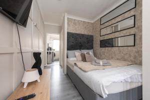 1 Bedroom Luxury Studio