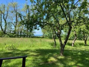 Gutshaus von Bülow - 19-02