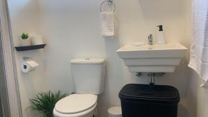 The Base Apartments Unit 147