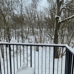 Green Apartament Chill Modlin Airport