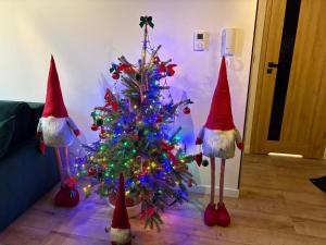 Green Apartament Chill Modlin Airport