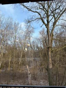 Green Apartament Chill Modlin Airport