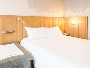 Hotels ibis Styles Tours Sud : photos des chambres