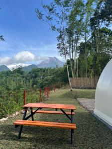 Kayi Glamping