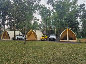 Kayi Glamping
