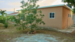 Tropical Oasis - your home away from home