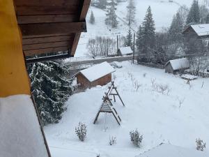 Pensiunea Aries Arieseni