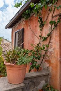 Vista Lago - Casa Vacanze