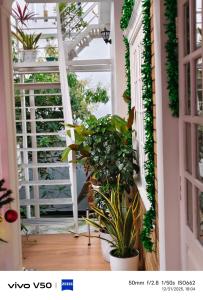JOHNs Paradise - Homestay