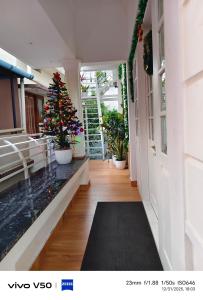 JOHNs Paradise - Homestay