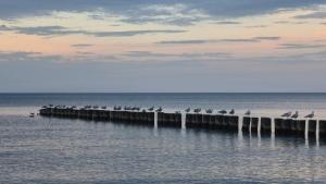 Pokoje Gościnne ,, Na Poziomie Ustka