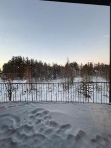 Great new apartment near the center of Levi