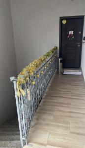 Gabriela Studio Central