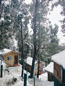 TTN - The Trekkers Nest