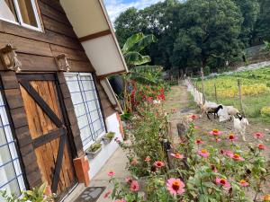 Canada House Queen bed in 2nd floor dbl sofa bed in 1st floor BBQ Private pool, river