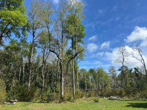 Cabañas del Bosque de Hualles