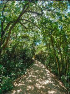 Estúdio Contêiner Pico da Cruz 1
