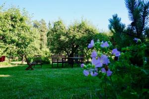 Marian ilo, Talo Naantalissa