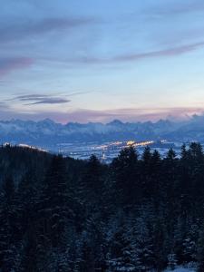 Apartament Zielone Wzgórze