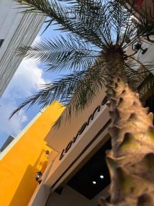 Laverne Boutique - 03 Huỳnh Khương Ninh