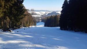 Apartmán Nerudova 245