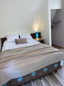 Willa Jagiellonka centrum blisko termy i dworzec