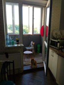 Captain 737 Kharkiv Apartment