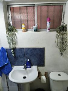 Sector Parque Ohiggins