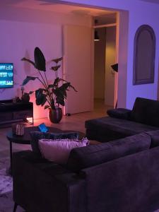 Hermitage Suites & Apartments - Amsterdam Zaandam