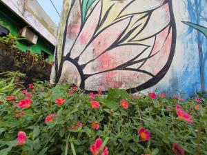 Ocean Aura beach stay