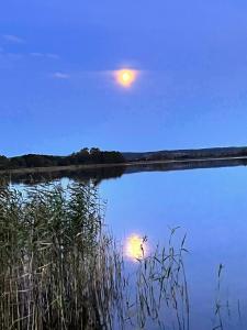 Seeidyll Potzlower See