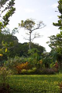 Nature Retreat in Manzanillo Near the Beach