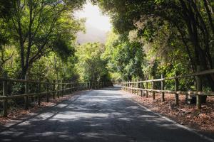 Citrus Finca LosArcos Canarias-back to nature