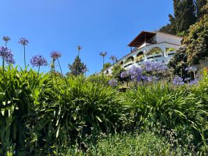 Citrus Finca LosArcos Canarias-back to nature